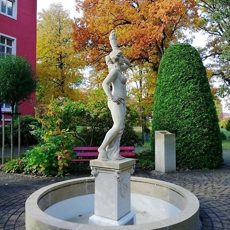 Parkhotel Bad Schandau Exteriör bild